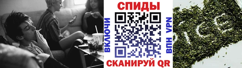 Купить  Рошаль  Бутират 99% 