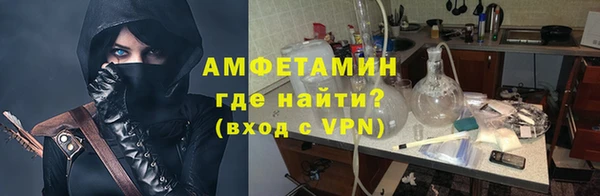 прущие грибы Баксан