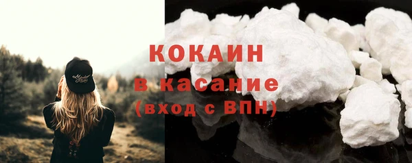 прущие грибы Баксан