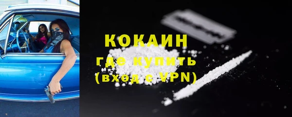 прущие грибы Баксан