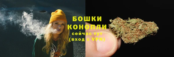 прущие грибы Баксан