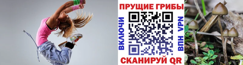 Галлюциногенные грибы GOLDEN TEACHER  Купить  Рошаль 