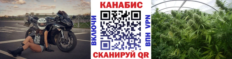 Каннабис ГИДРОПОН Рошаль
